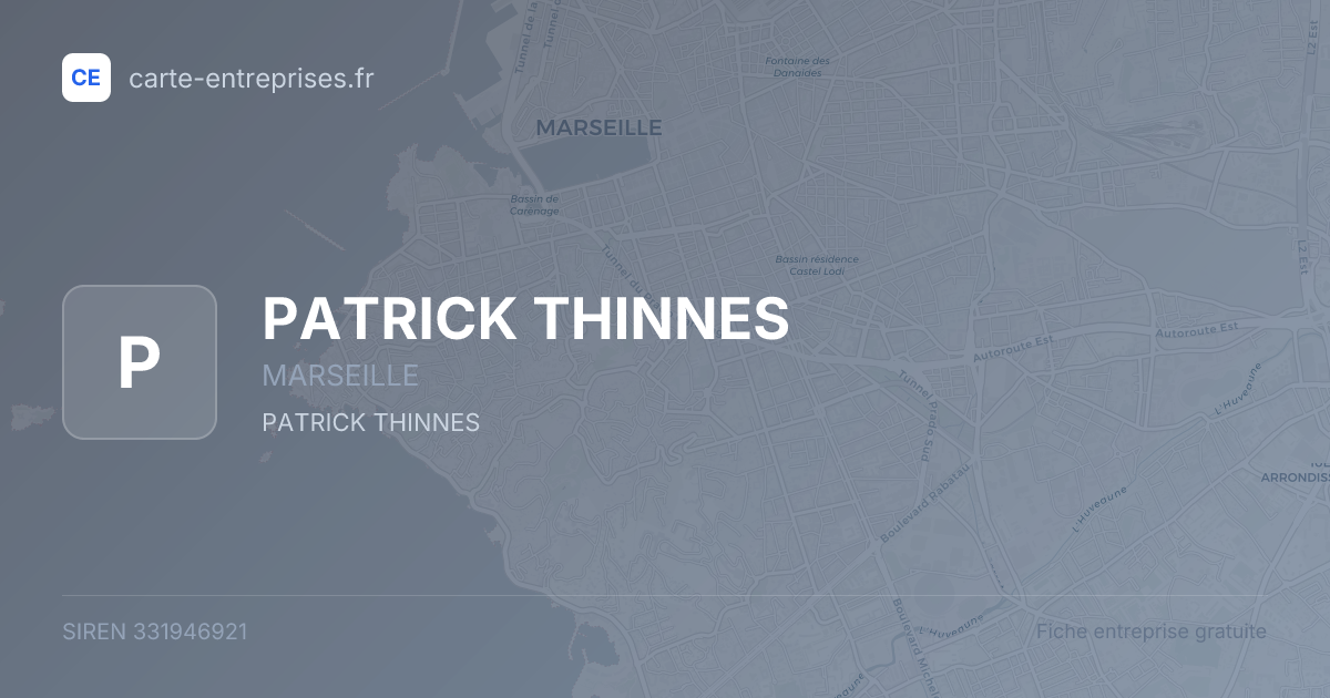 PATRICK THINNES — 331946921 — fiche entreprise