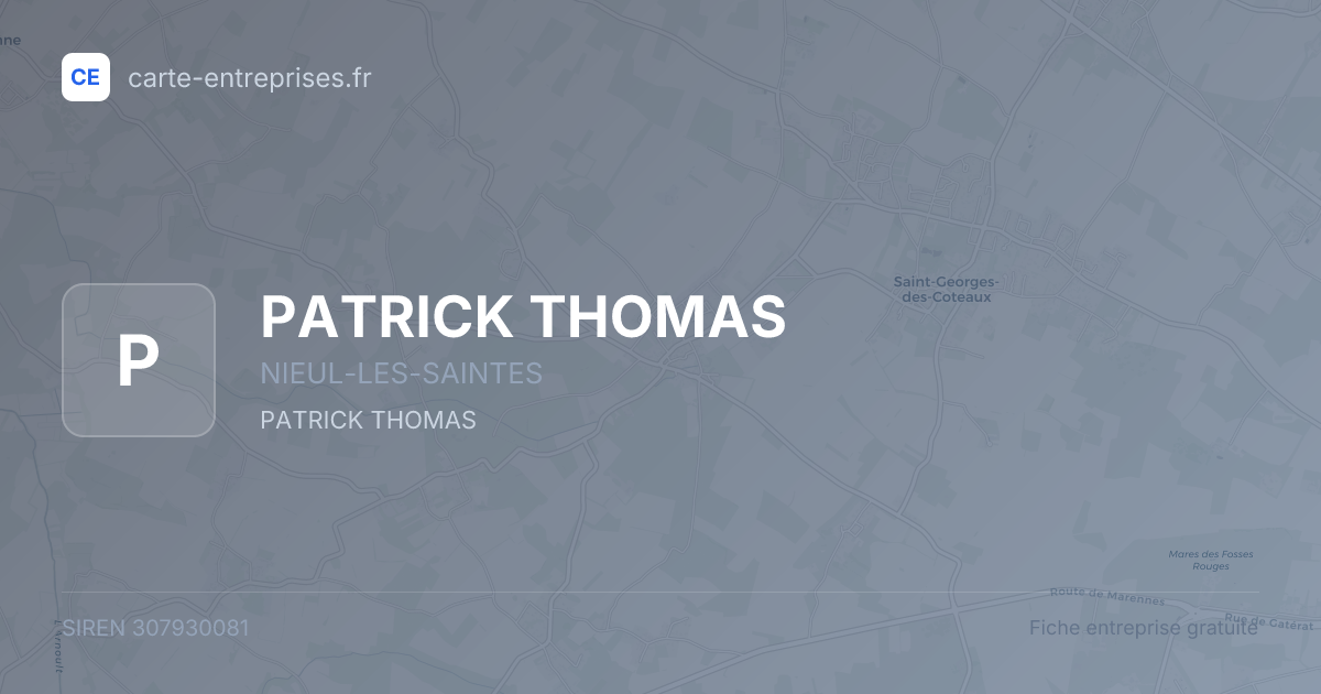 PATRICK THOMAS — 307930081 — fiche entreprise