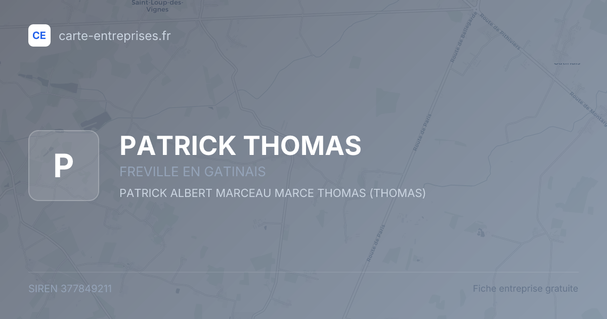 PATRICK THOMAS — 377849211 — fiche entreprise