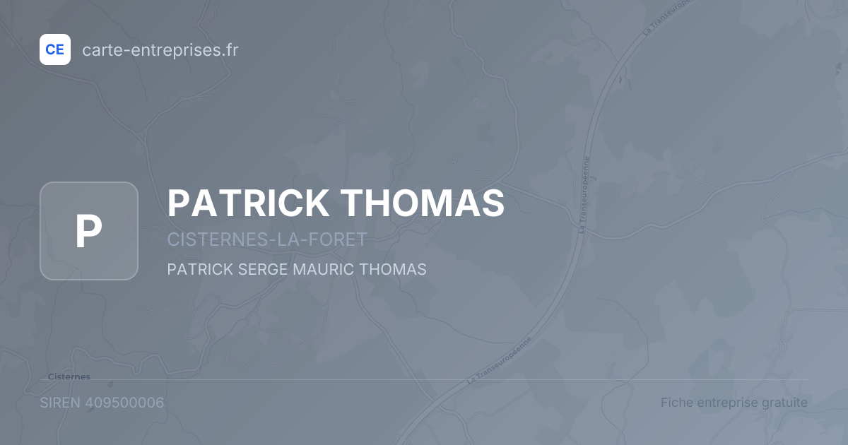 PATRICK THOMAS — 409500006 — fiche entreprise