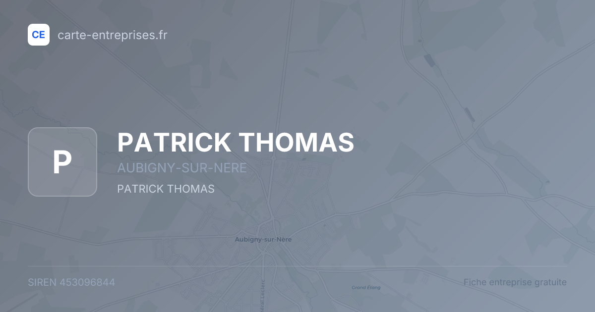 PATRICK THOMAS — 453096844 — fiche entreprise