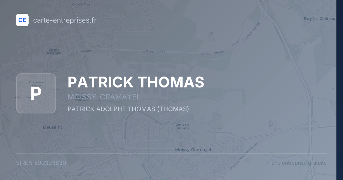 PATRICK THOMAS — 500393830 — fiche entreprise