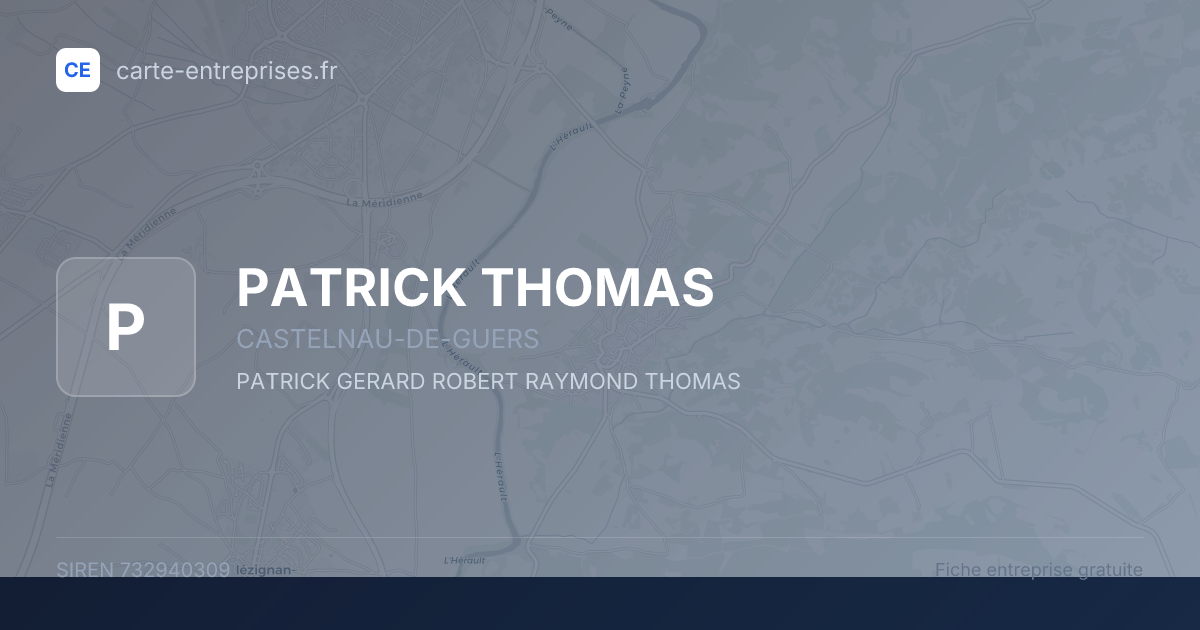 PATRICK THOMAS — 732940309 — fiche entreprise