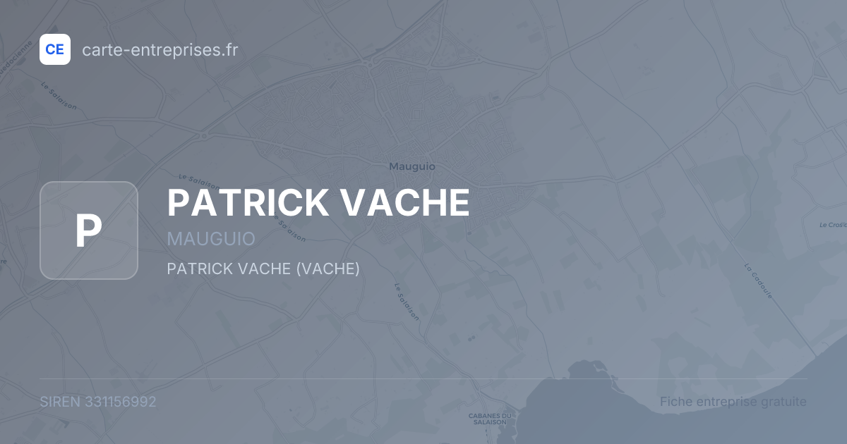 PATRICK VACHE — 331156992 — fiche entreprise