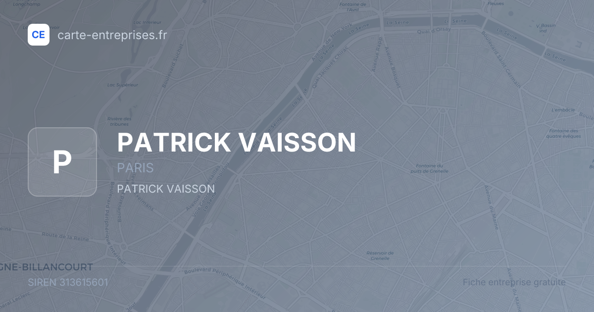PATRICK VAISSON — 313615601 — fiche entreprise