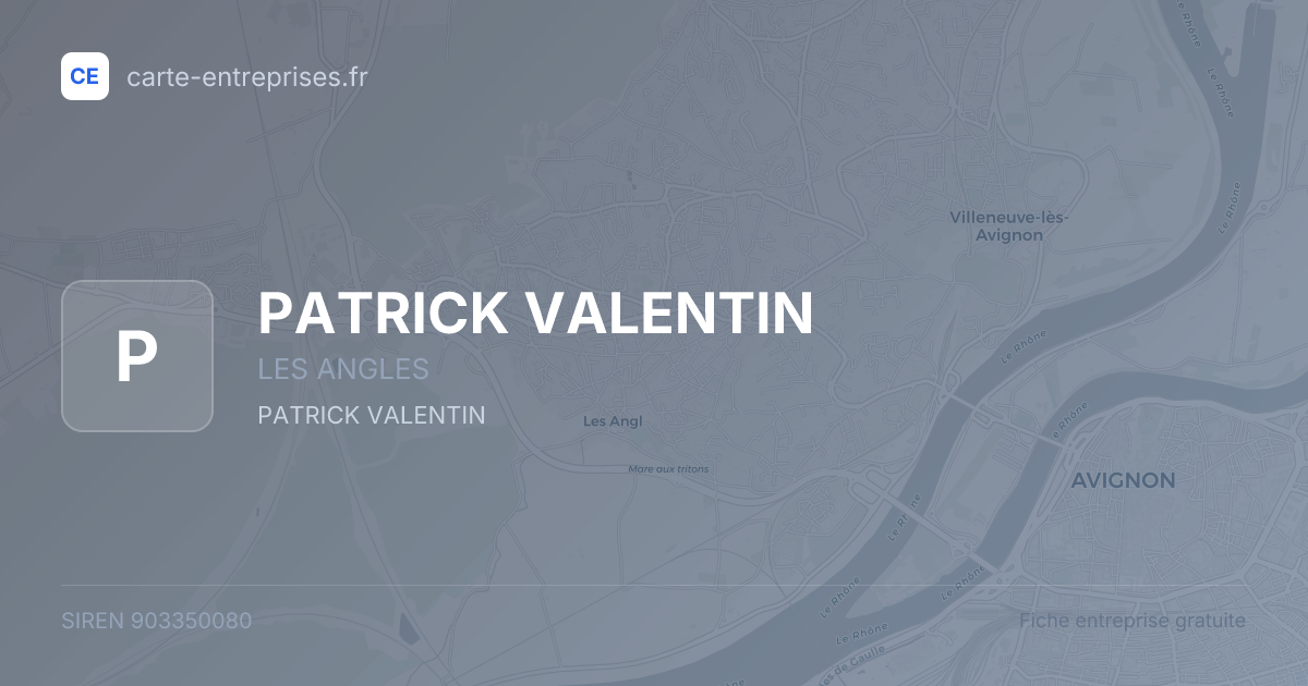 PATRICK VALENTIN — 903350080 — fiche entreprise