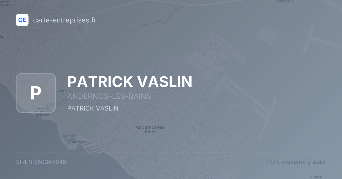 PATRICK VASLIN — 950364646 — fiche entreprise