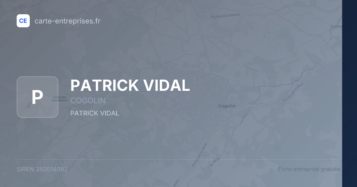 PATRICK VIDAL — 382014082 — fiche entreprise