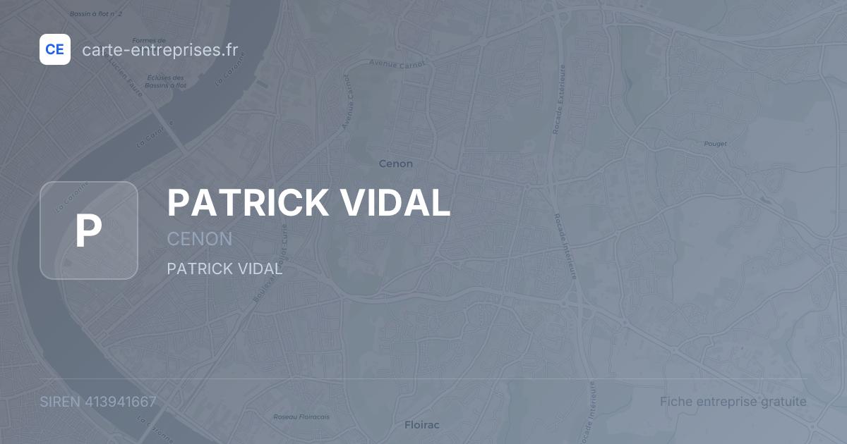 PATRICK VIDAL — 413941667 — fiche entreprise