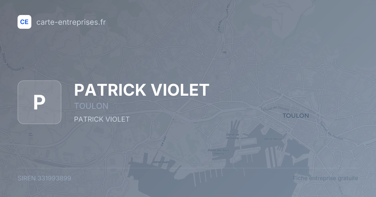 PATRICK VIOLET — 331993899 — fiche entreprise