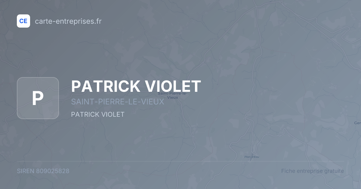 PATRICK VIOLET — 809025828 — fiche entreprise