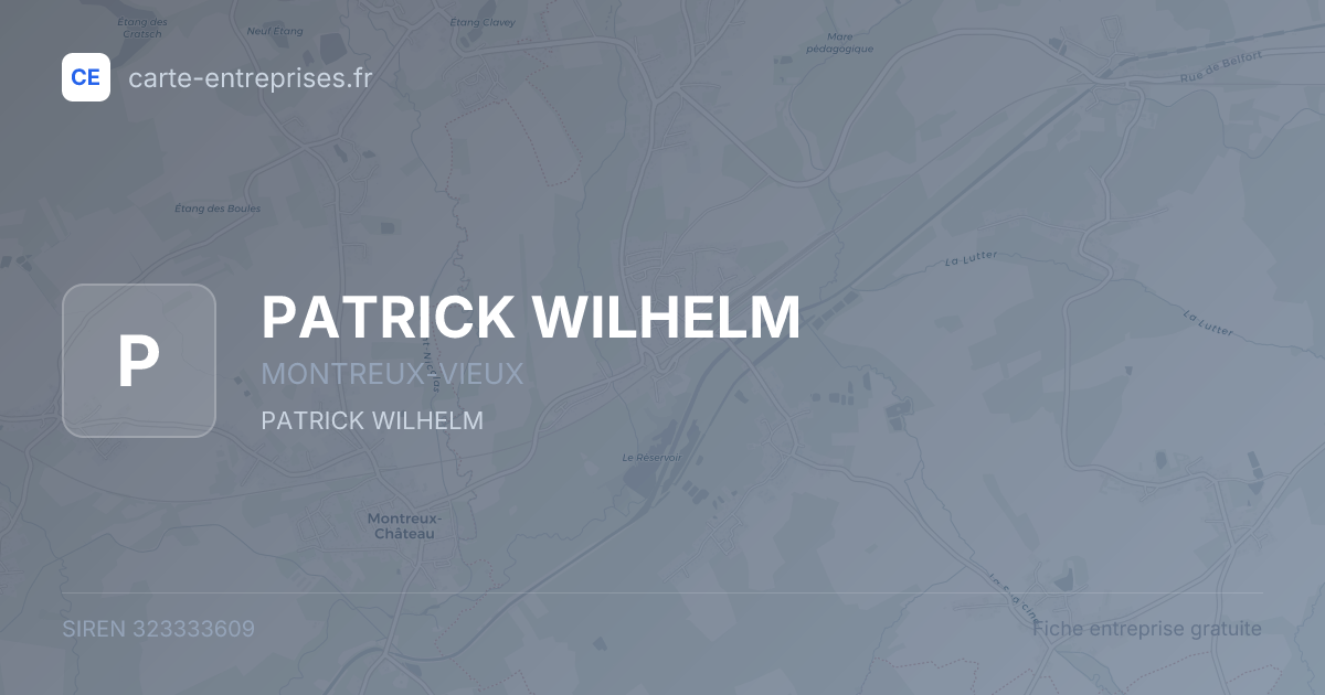 PATRICK WILHELM — 323333609 — fiche entreprise