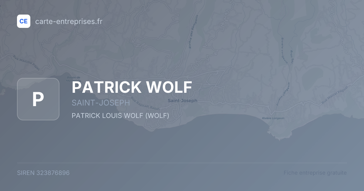 PATRICK WOLF — 323876896 — fiche entreprise
