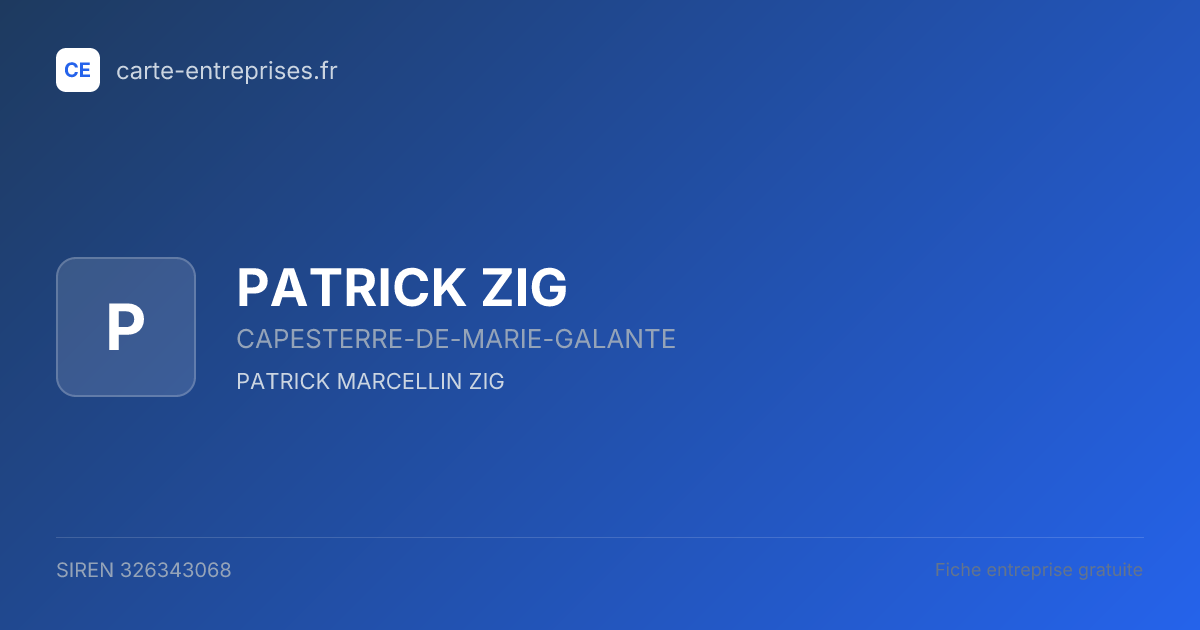 PATRICK ZIG — 326343068 — fiche entreprise