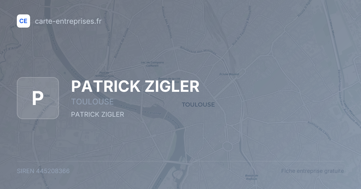 PATRICK ZIGLER — 445208366 — fiche entreprise