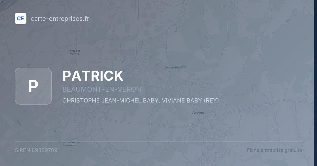 PATRICK — 893397091 — fiche entreprise