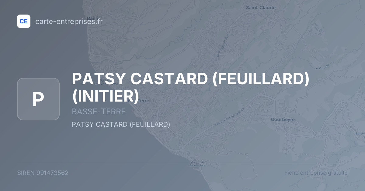 PATSY CASTARD (FEUILLARD) (INITIER) — 991473562 — fiche entreprise