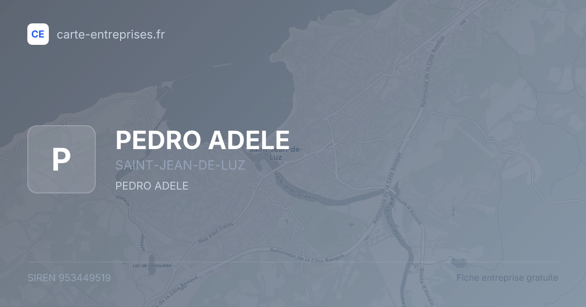 PEDRO ADELE — 953449519 — fiche entreprise