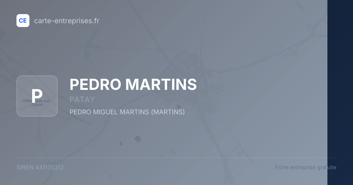 PEDRO MARTINS — 441175312 — fiche entreprise
