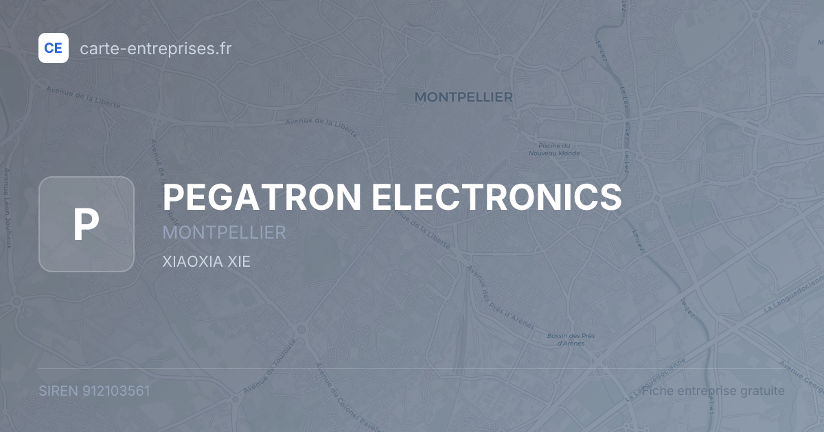 PEGATRON ELECTRONICS — 912103561 — fiche entreprise