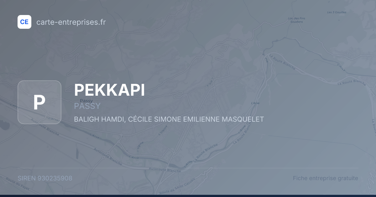 PEKKAPI — 930235908 — fiche entreprise