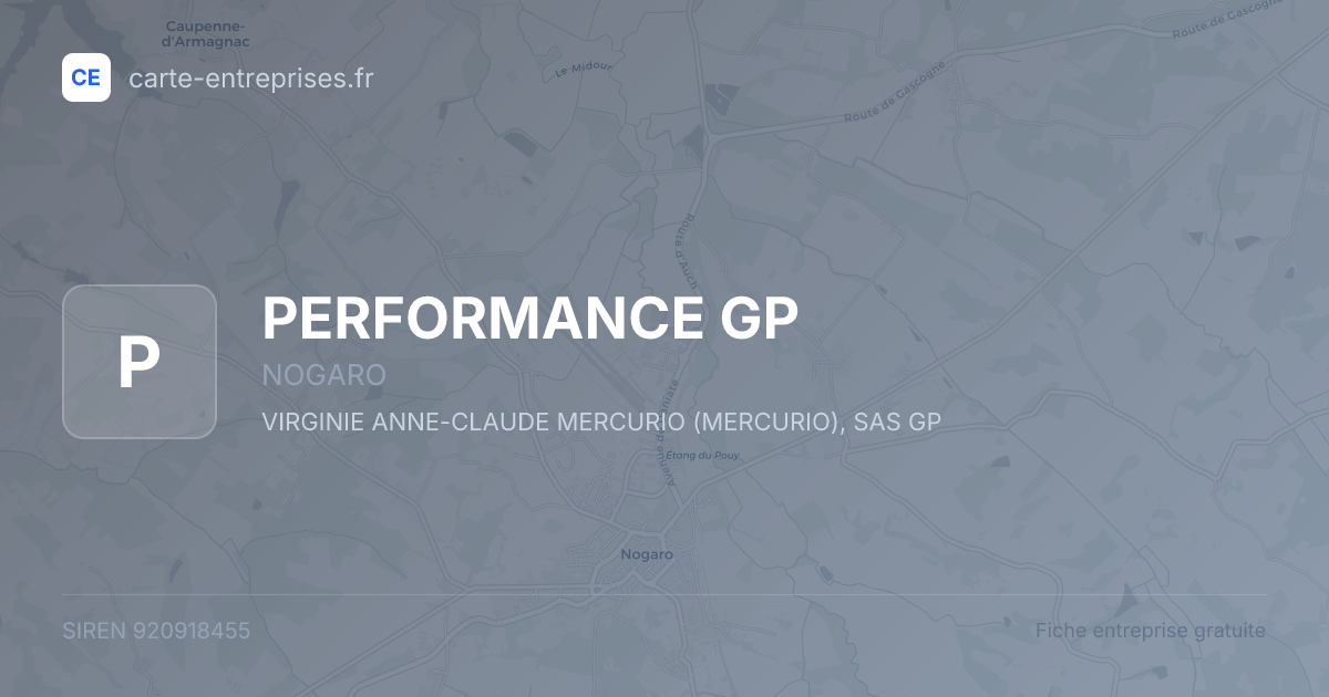 PERFORMANCE GP — 920918455 — fiche entreprise