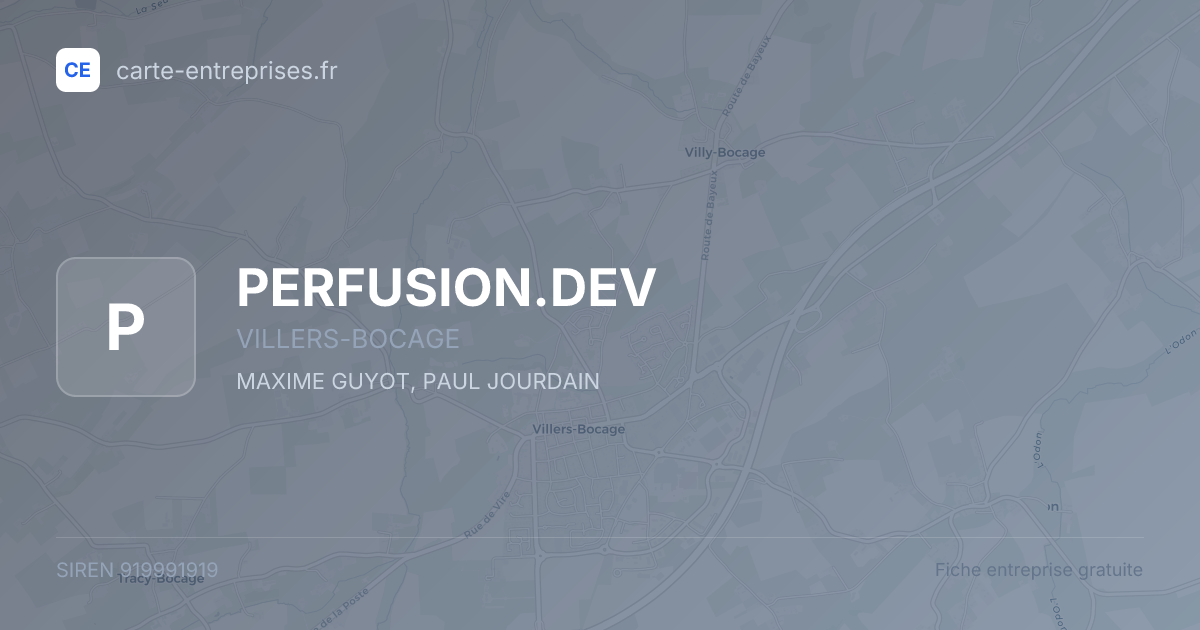 PERFUSION.DEV — 919991919 — fiche entreprise