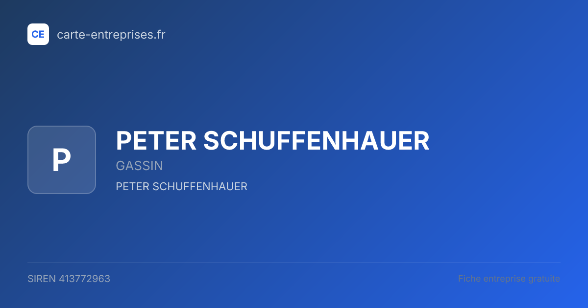 PETER SCHUFFENHAUER — 413772963 — fiche entreprise