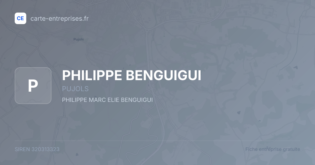 PHILIPPE BENGUIGUI — 320313323 — fiche entreprise