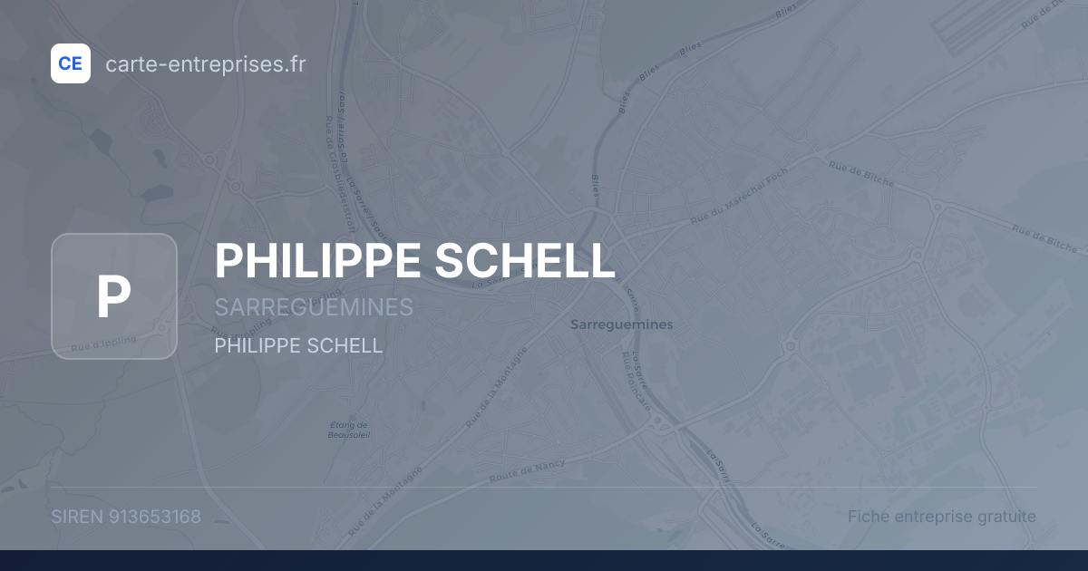 PHILIPPE SCHELL — 913653168 — fiche entreprise