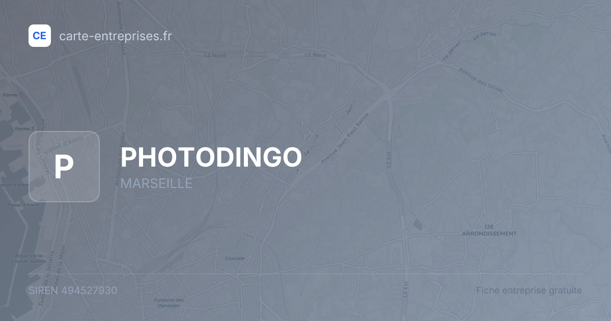 PHOTODINGO — 494527930 — fiche entreprise