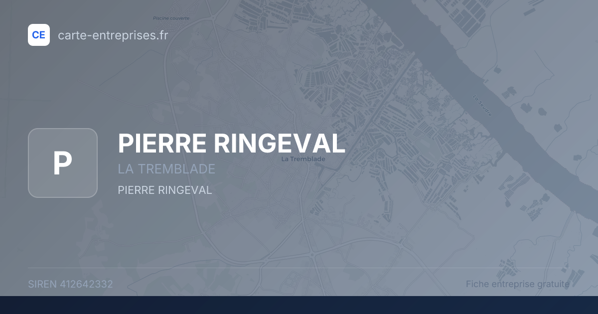 PIERRE RINGEVAL — 412642332 — fiche entreprise