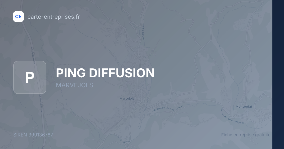 PING DIFFUSION — 399136787 — fiche entreprise