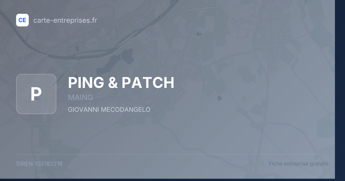 PING & PATCH — 103182218 — fiche entreprise