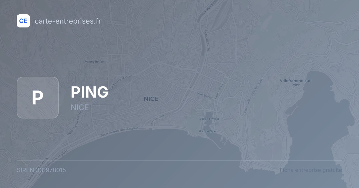 PING — 331978015 — fiche entreprise