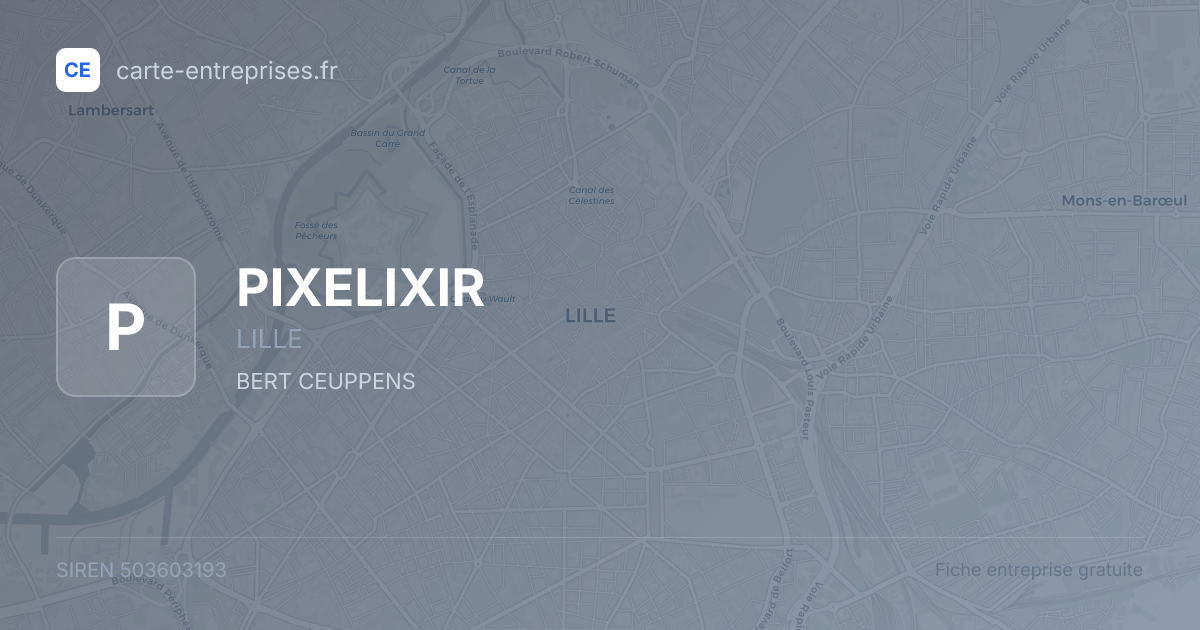 PIXELIXIR — 503603193 — fiche entreprise