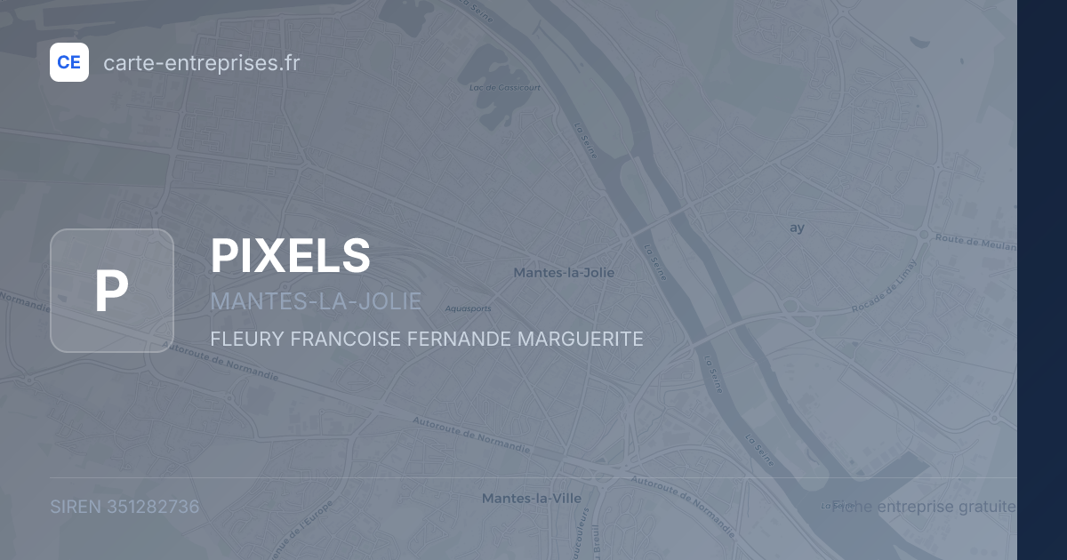 PIXELS — 351282736 — fiche entreprise