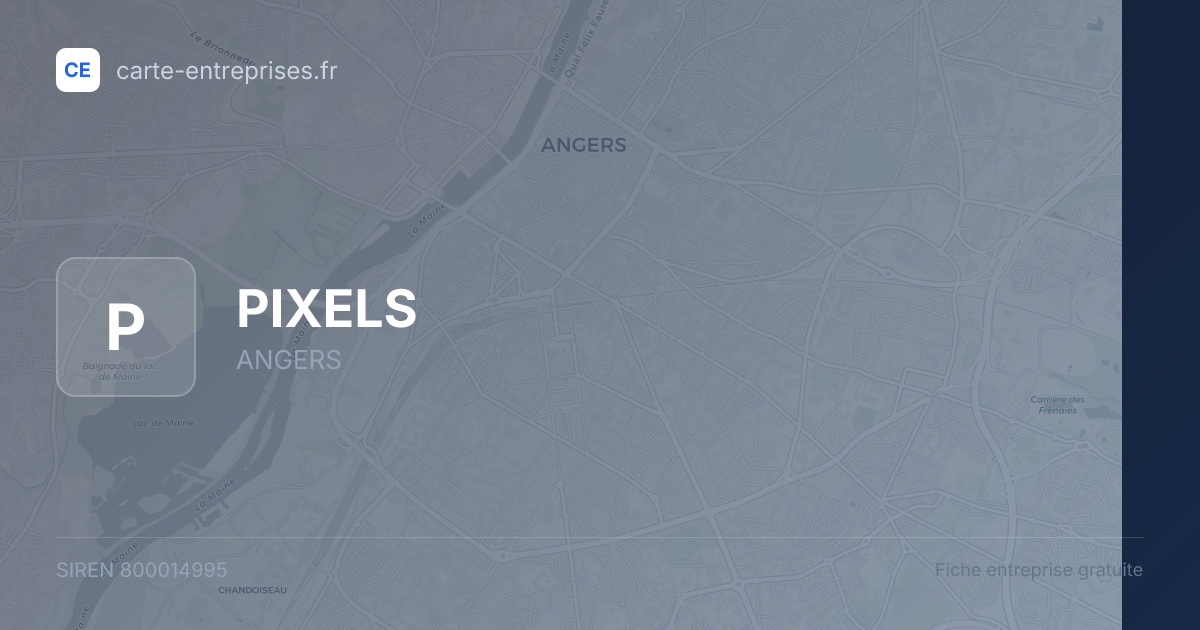 PIXELS — 800014995 — fiche entreprise