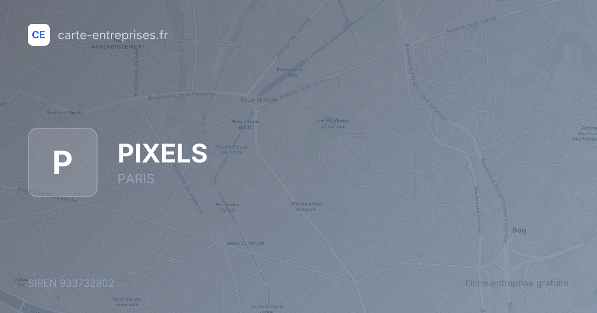 PIXELS — 933732802 — fiche entreprise