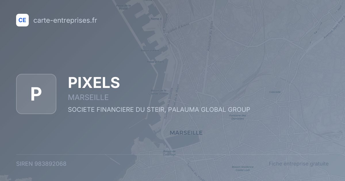 PIXELS — 983892068 — fiche entreprise