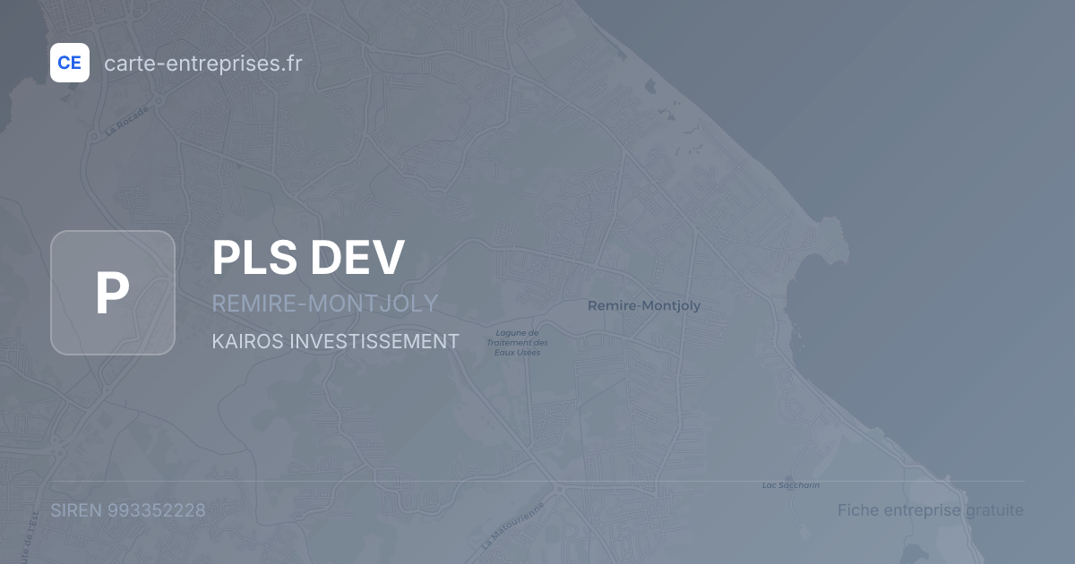 PLS DEV — 993352228 — fiche entreprise