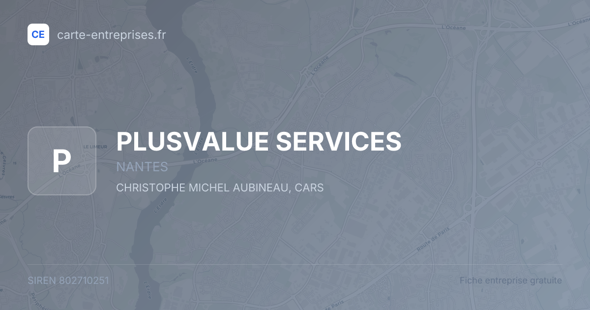 PLUSVALUE SERVICES — 802710251 — fiche entreprise