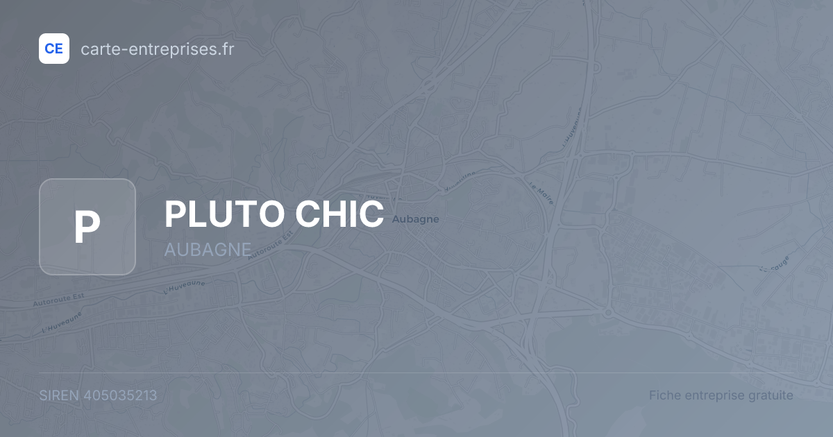PLUTO CHIC — 405035213 — fiche entreprise
