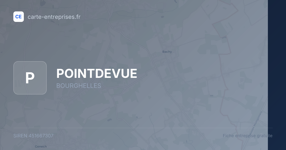 POINTDEVUE — 451667307 — fiche entreprise