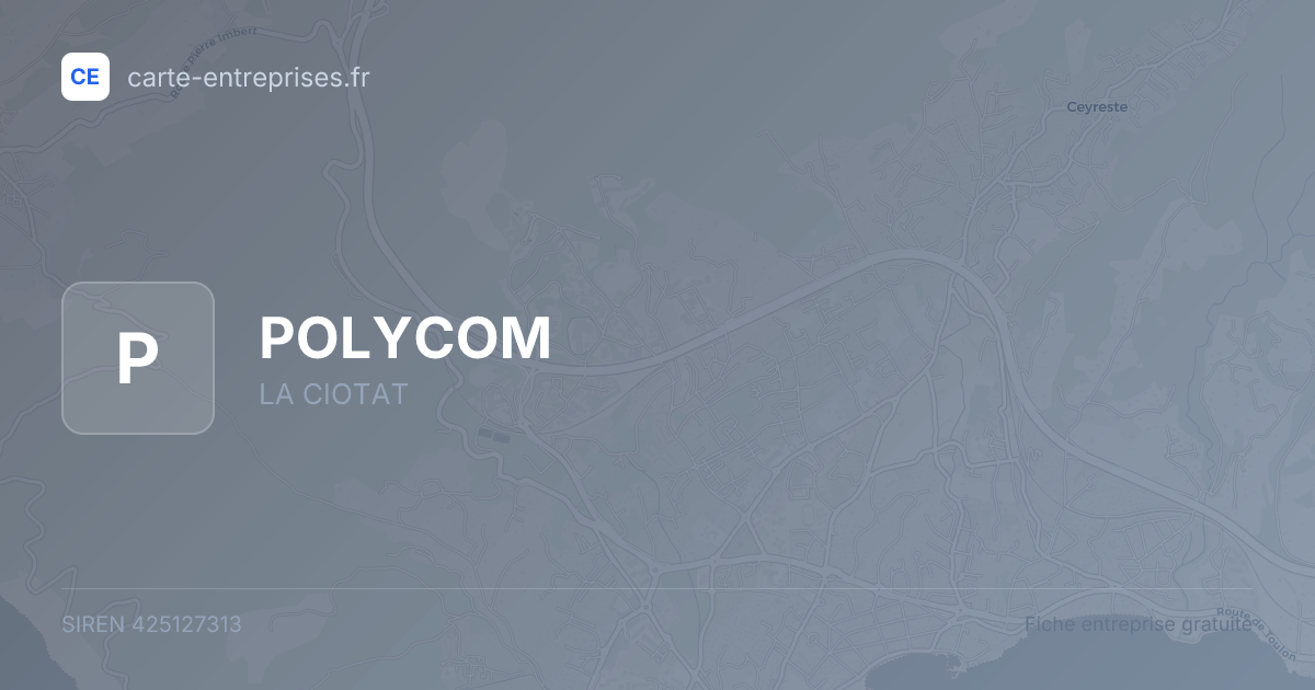 POLYCOM — 425127313 — fiche entreprise