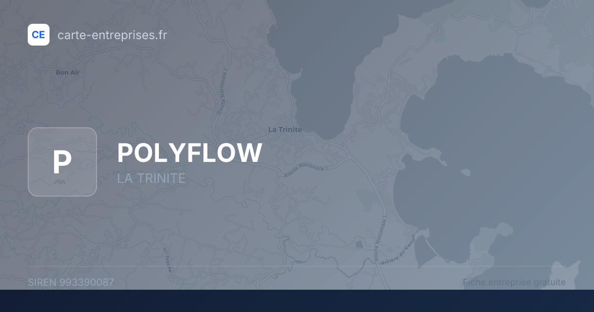 POLYFLOW — 993390087 — fiche entreprise