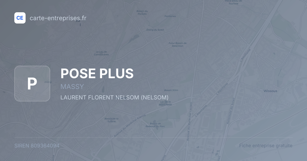 POSE PLUS — 809364094 — fiche entreprise