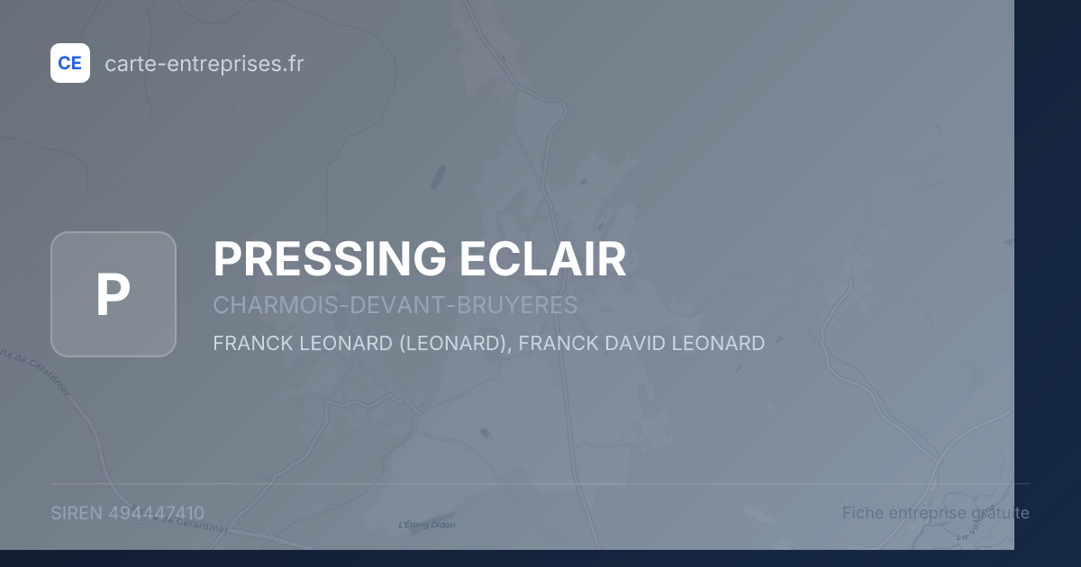 PRESSING ECLAIR — 494447410 — fiche entreprise