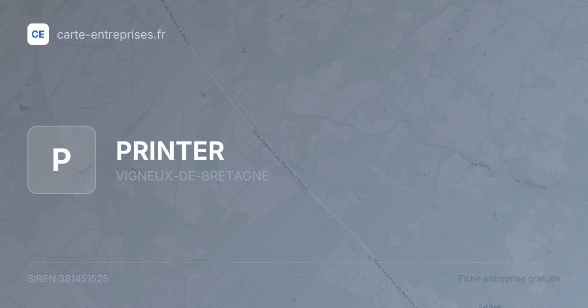 PRINTER — 381451525 — fiche entreprise