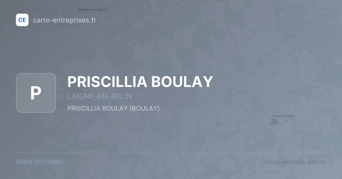 PRISCILLIA BOULAY — 501729941 — fiche entreprise